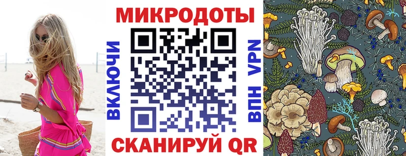 Псилоцибиновые грибы прущие грибы  Кропоткин 